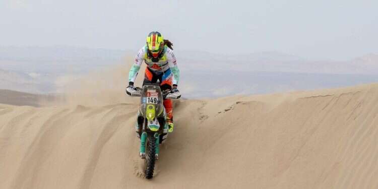 גי מוצקין. צילום: באדיבות גי מוצקין צילום: באדיבות גי מוצקין