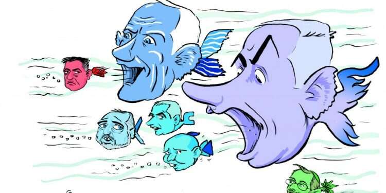 איור: שי צ'רקה איך אומרים געוואלד בערבית?