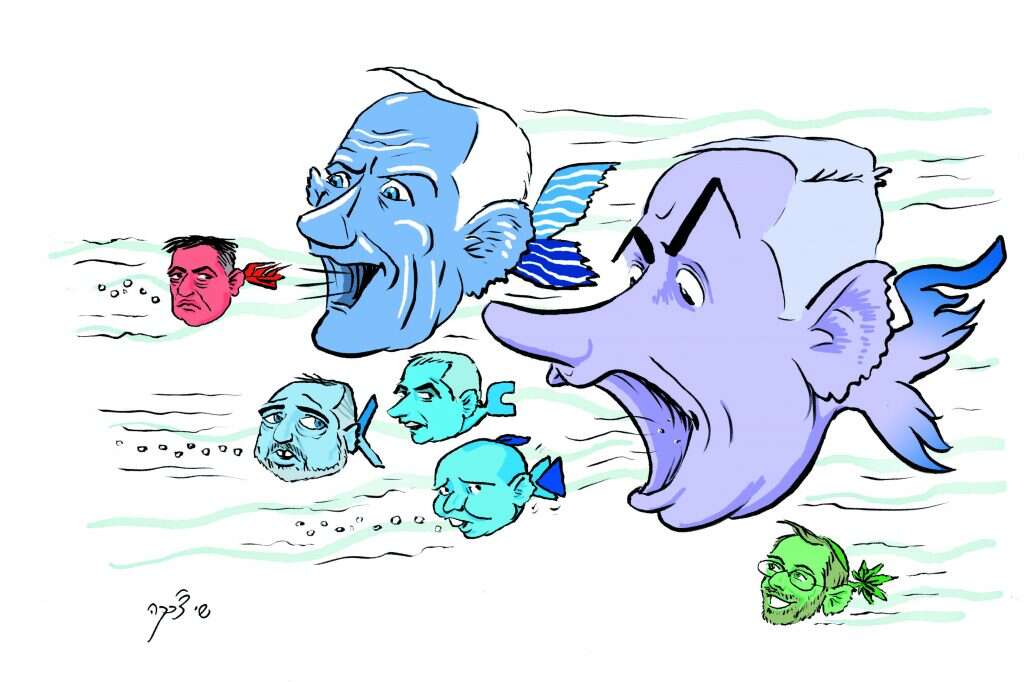איור: שי צ'רקה