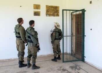 צילום: אייל מרגולין, ג'יני