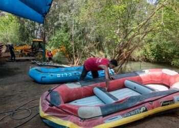 צילום: אייל מרגולין, ג'יני