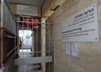 צילום: ארנון סגל