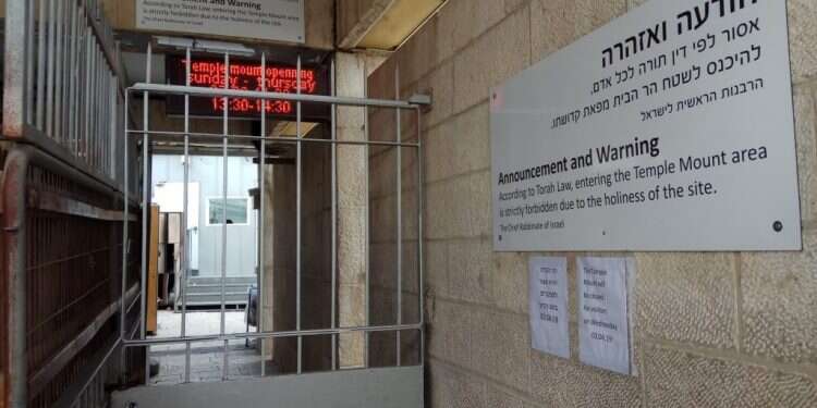 צילום: ארנון סגל