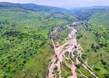 הירדן ההררי. צילום: חיים קרסנו צילום: חיים קרסנו