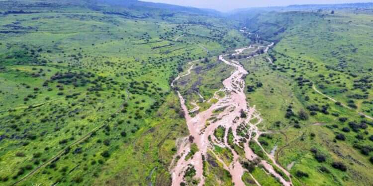 צילום: חיים קרסנו