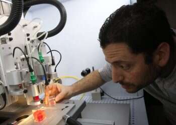 צילום: יהושע יוסף