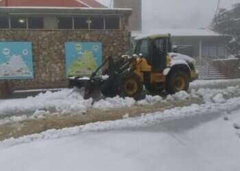 צילום: יריב ברוך, אתר החרמון