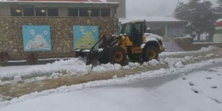 צילום: יריב ברוך, אתר החרמון