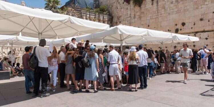 צילום: אביטל הירש