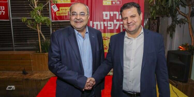 איימן עודה ואחמד טיבי. צילום: פלאש 90 צילום: פלאש 90