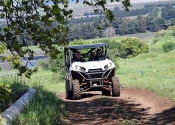 צילום: חיים צח, לע"מ