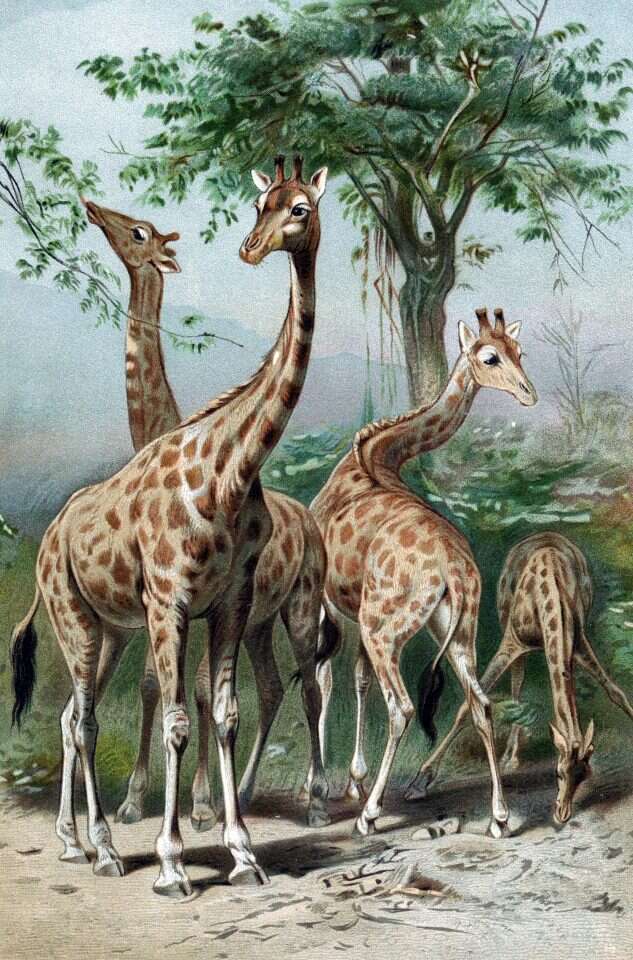 צילום: גטי אימג'ס