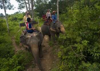צילום: גטי אימג'ס