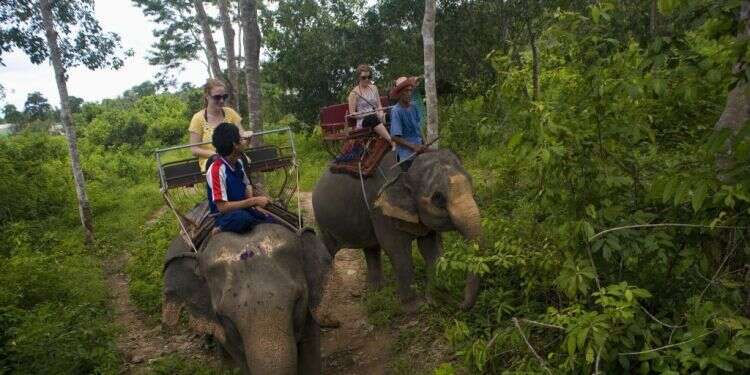 תיירים בתאילנד. צילום: גטי אימג'ס צילום: גטי אימג'ס