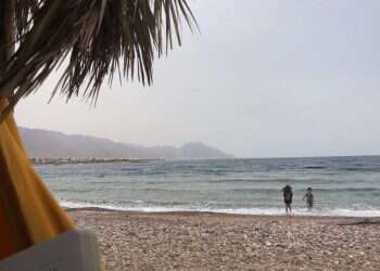 צילום: יהודה יפרח