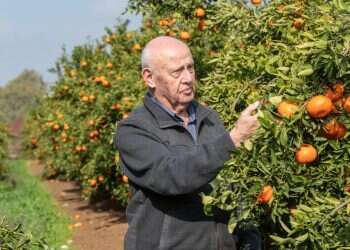 צילום: אייל מרגולין, ג'יני