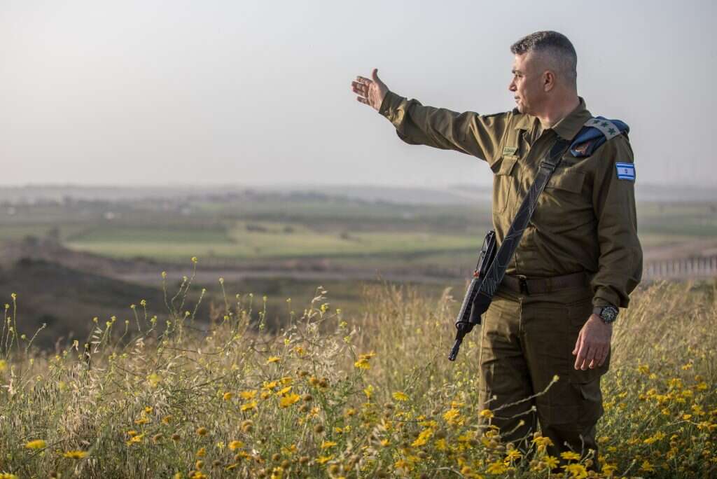 צילום: יוסי אלוני