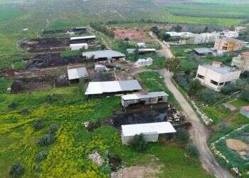 צילום: תנועת רגבים