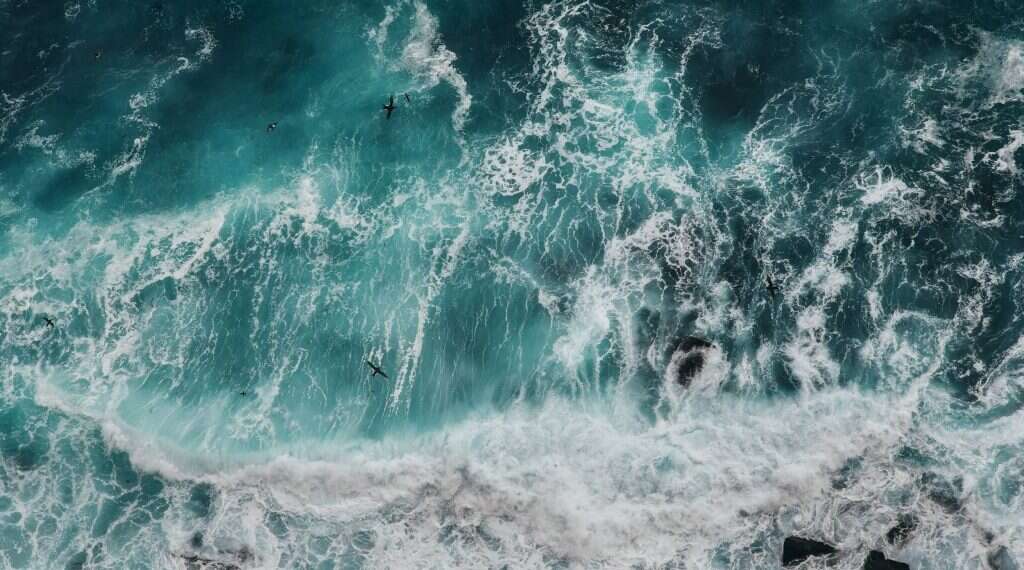 בהשראת שירת הים: שש המלצות לספרי שירה