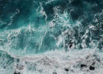 בהשראת שירת הים: שש המלצות לספרי שירה