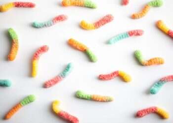 צילום: שאטרסטוק