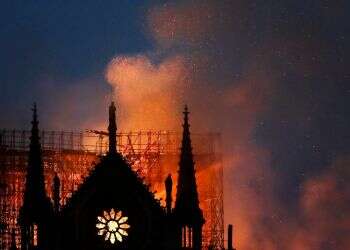 צילום: שאטרסטוק