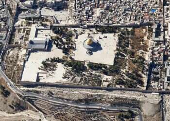 צילום: שאטרסטוק