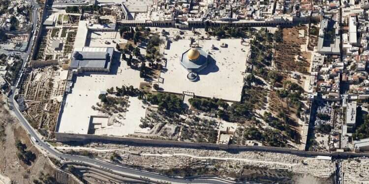 צילום: שאטרסטוק