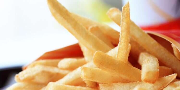 צילום: שאטרסטוק