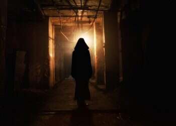 צילום: שאטרסטוק