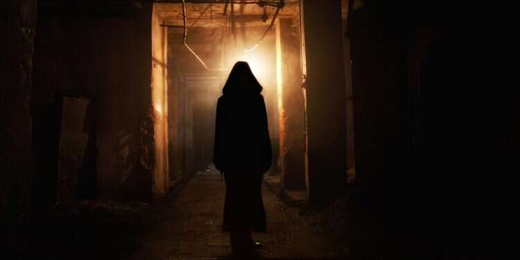 צילום: שאטרסטוק