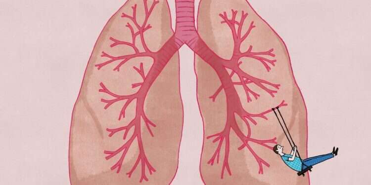 איור: שרון ארדיטי איור: שרון ארדיטי