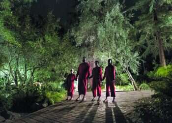 צילום: באדיבות Tulip Entertainment