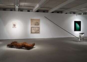 צילום: אלעד שריג