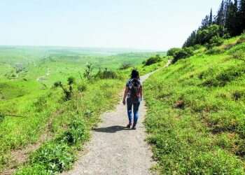 צילום: דב גרינבלט, החברה להגנת הטבע