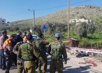 צילום: אברהם בנימין