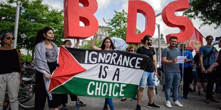 הפגנת BDS בארה צילום: EPA