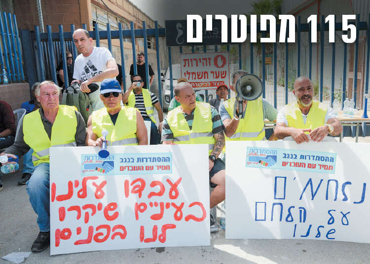 צילום: דודו גרינשפן
