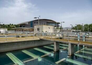 צילום: גיל אליהו, ג'יני