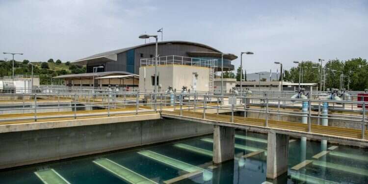 צילום: גיל אליהו, ג'יני