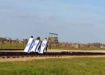 צילום: יאיר קראוס