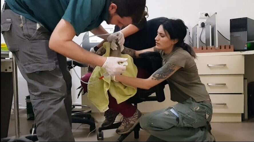 צילום: ברק ספקטור ורוני אליאס