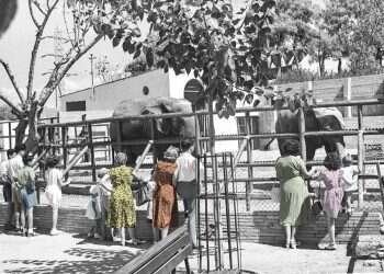 צילום: פריץ כהן, לע"מ