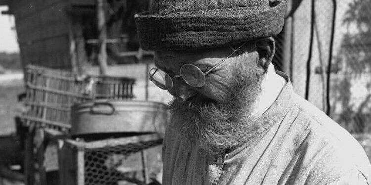 צילום: זולטן קלוגר, לע"מ