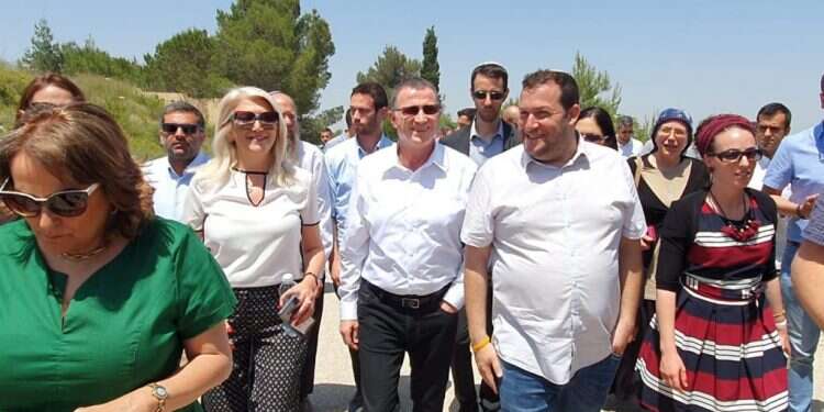 צילום: רועי חדי