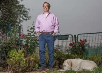 צילום: יוסי אלוני