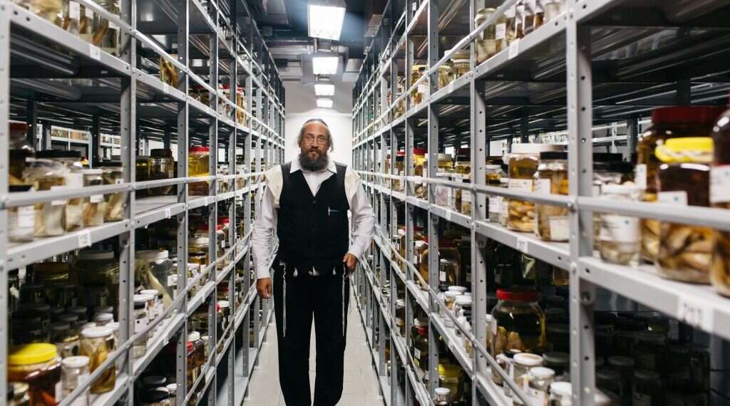 צילום: אבישג שאר-ישוב