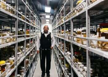 צילום: אבישג שאר-ישוב