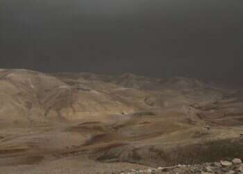 צילום: מרים צחי