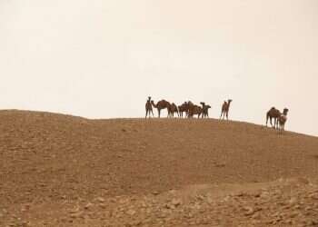 צילום: מרים צחי